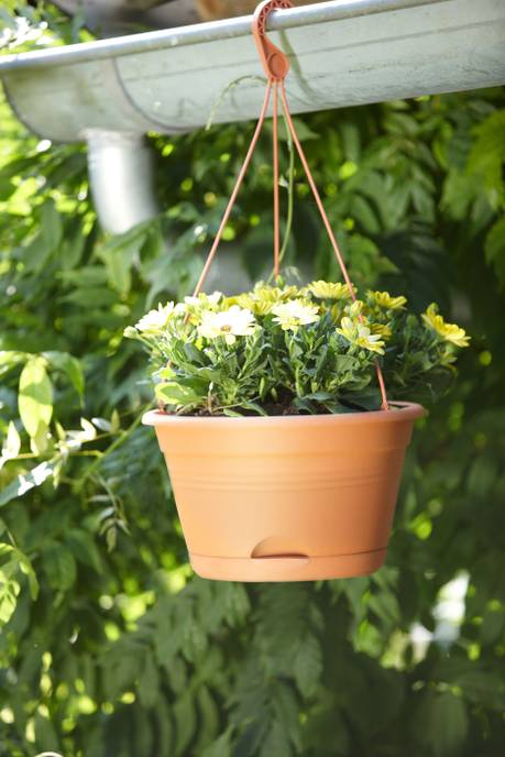 green basics hanging basket 28cm mild terra